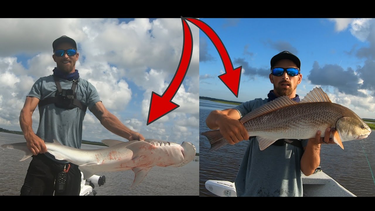REDFISH AND SHARKS! (REDFISH TOURNAMENT)