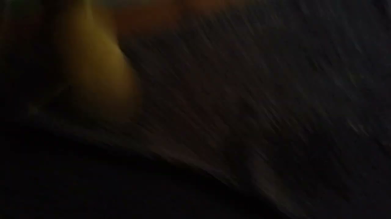 Mickey doing our revenge on shark puppet part 1