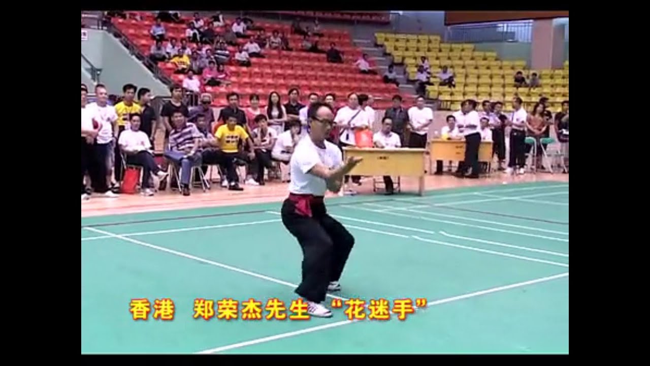 Choy Mok Kung Fu 蔡莫派 Demonstrations