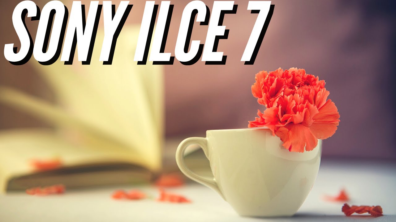 Sony Ilce-7 📸 Sample Photography - Image Quality