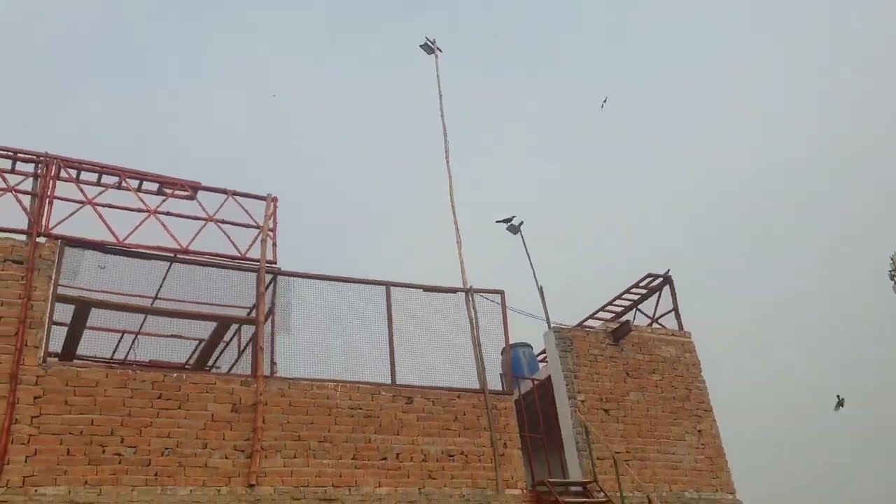 Parwazi Chatt par bachy 10 reh gye bhaag gaye sb