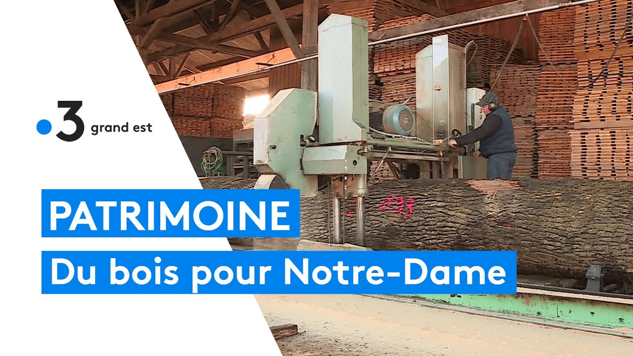 La scierie d'Estissac participe &agrave; la reconstruction de Notre-Dame de Paris