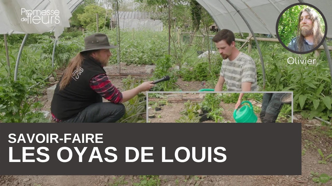 Savoir-faire : la technique d'oyas de Louis