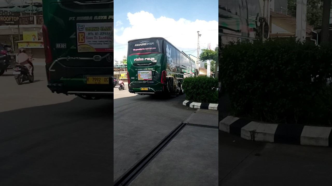 rimba raya SR3 tronton SCANIA #bismania #bistronton #scania