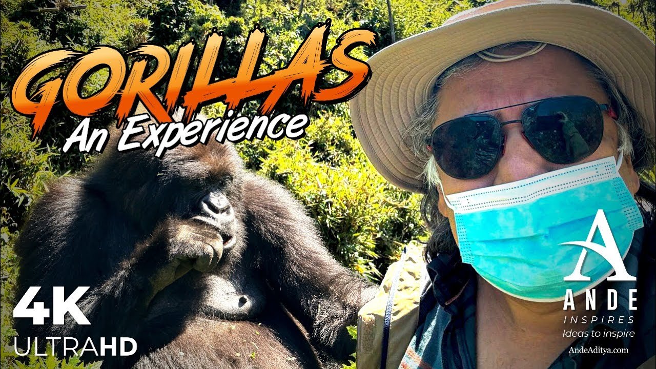 Up-Close with Rwanda's Mountain Gorillas | Ultimate Gorilla Trekking | Ande Inspires