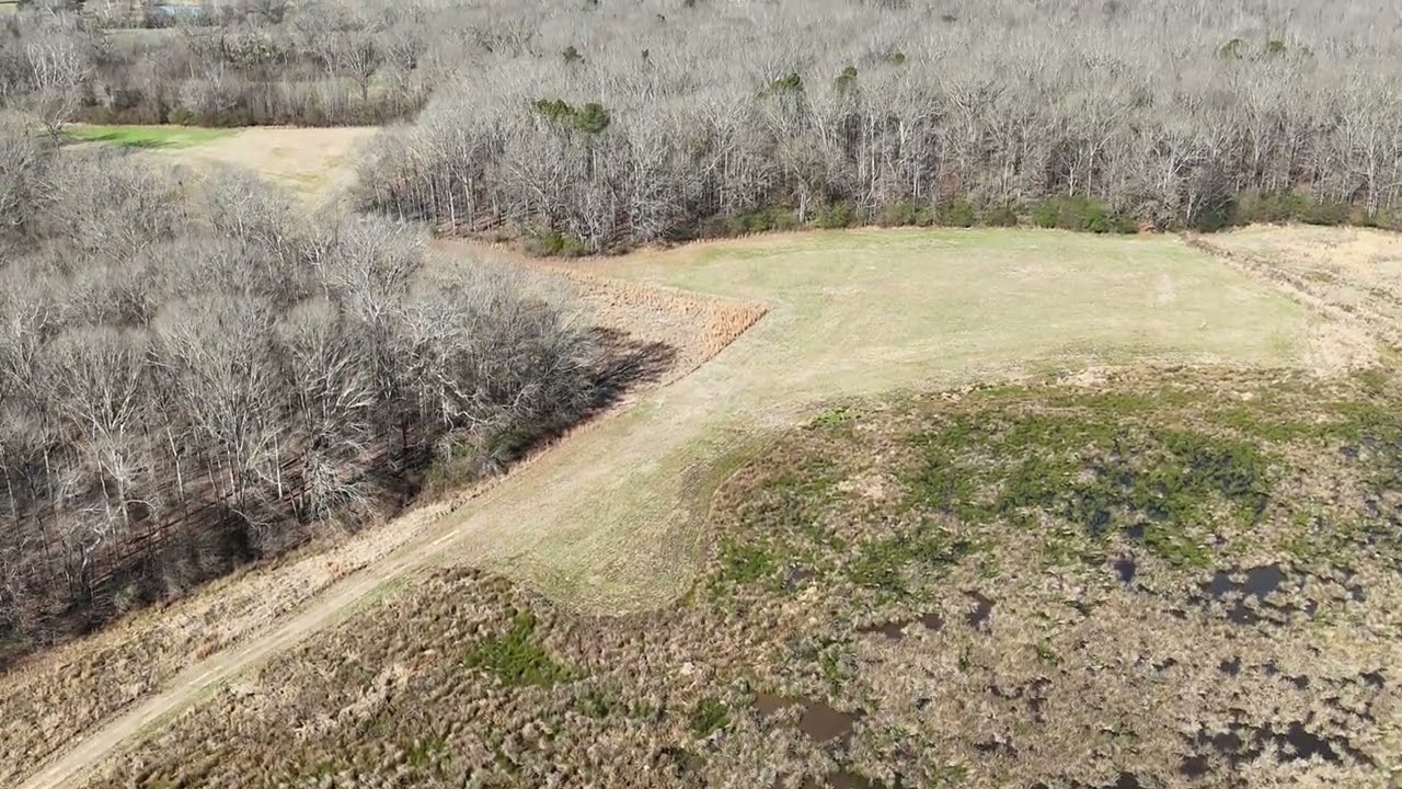 Shirah Farms Overview