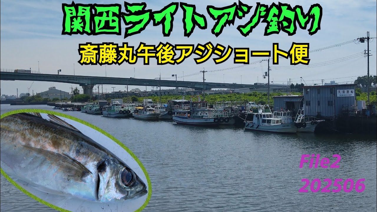 関西ライトアジ釣り  File2 斎藤丸午後アジショート便 フルバージョン 202506 メクリアジが怒涛の入れ掛かり