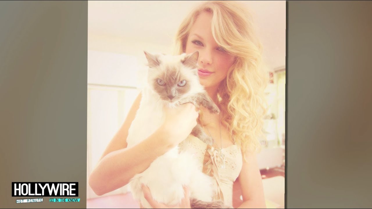 Taylor Swift’s TOP 5 Cat Instagram Moments!