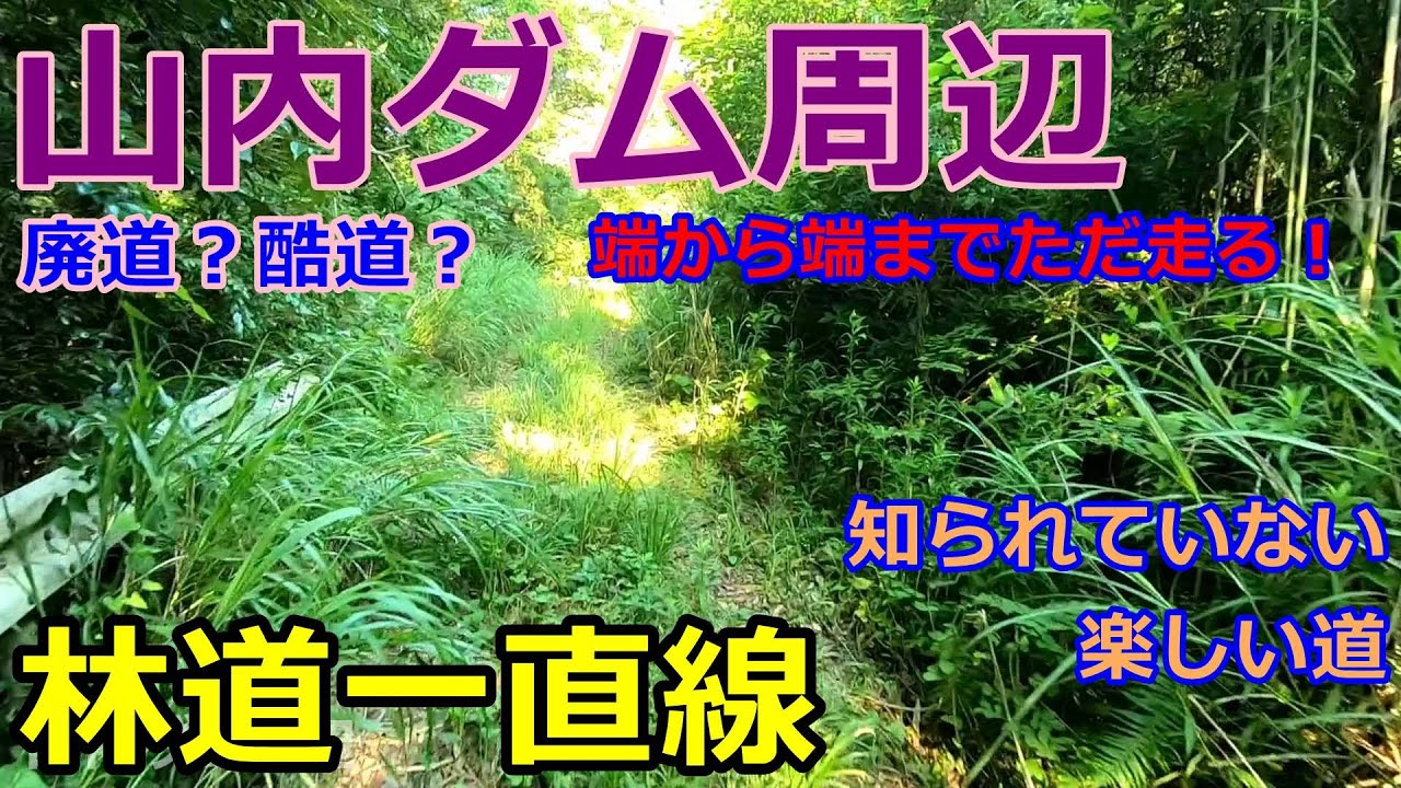 【林道一直線】　千葉　林道　山内ダム