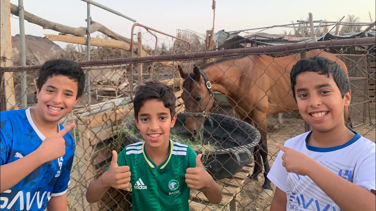 انس ركب (الفرس) 🏇🏇