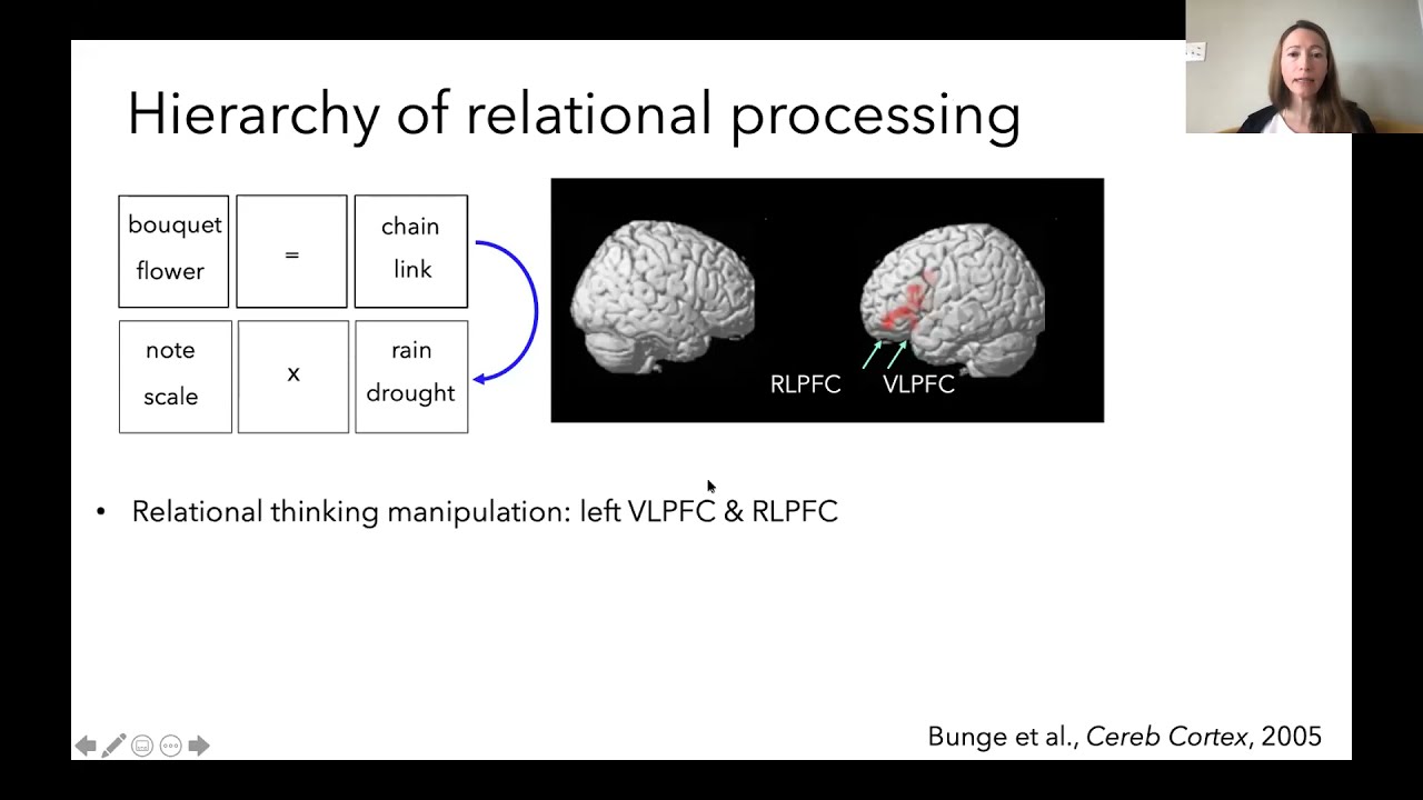 Silvia Bunge -- Neurocognitive mechanisms supporting analogical reasoning and its development