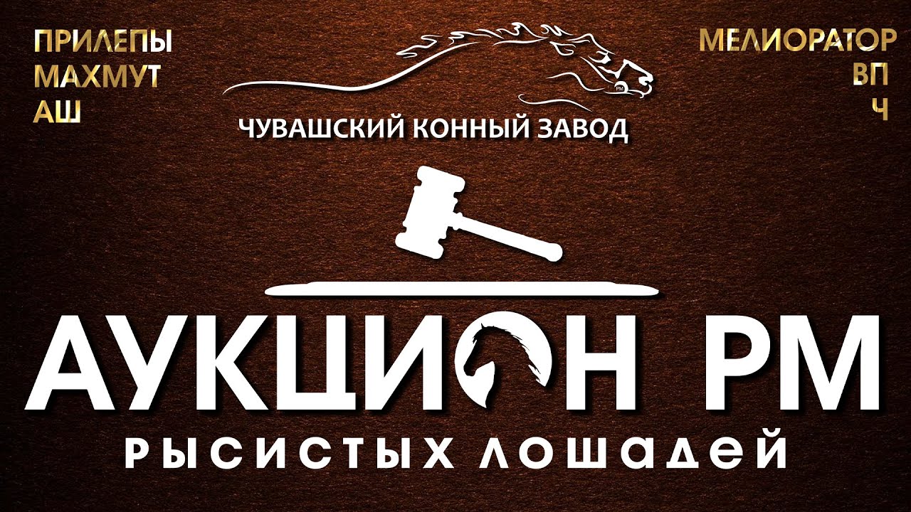Аукцион РМ Рысистых лошадей. Чувашский конный завод