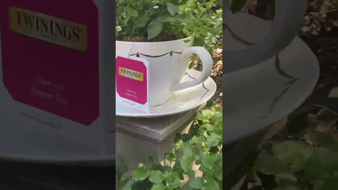 Tea Tour- EPCOT