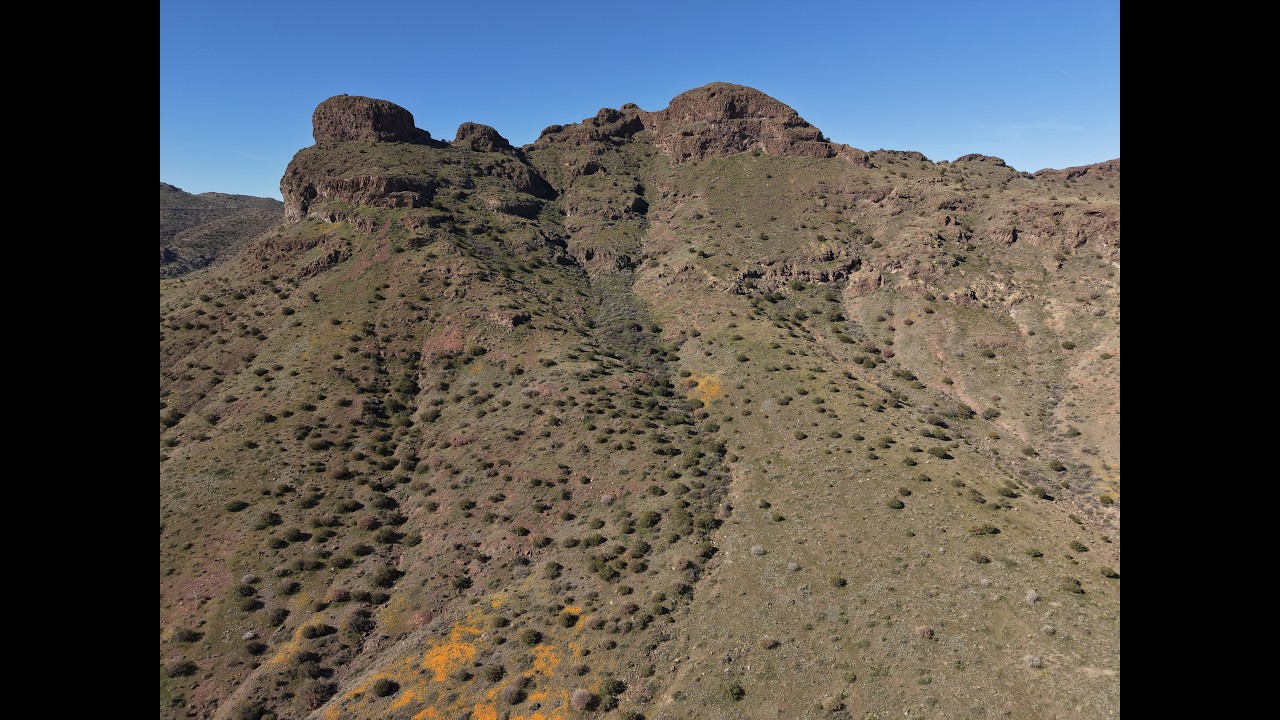 Engine Mountain and Wildflowers