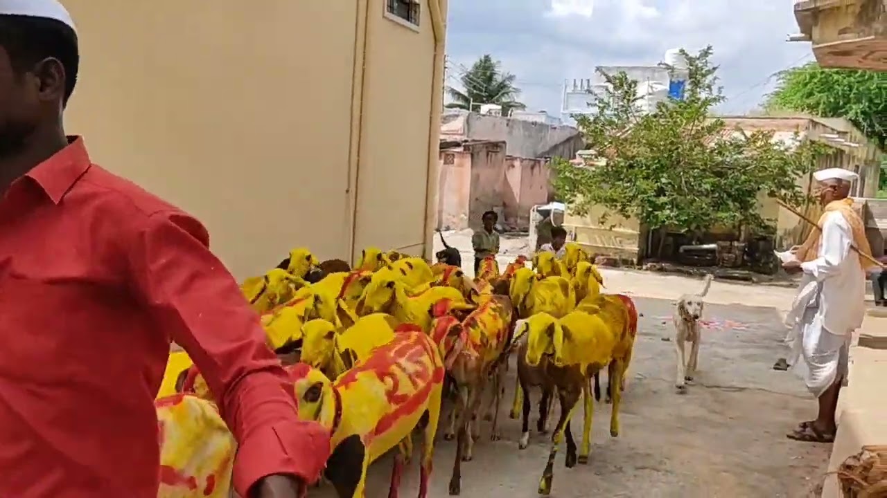 विभूतवाडी येथील मेंढपाळाला कार्यक्रम संपन्न झाला 🙏🙏👍❤️❤️❤️💪👍
