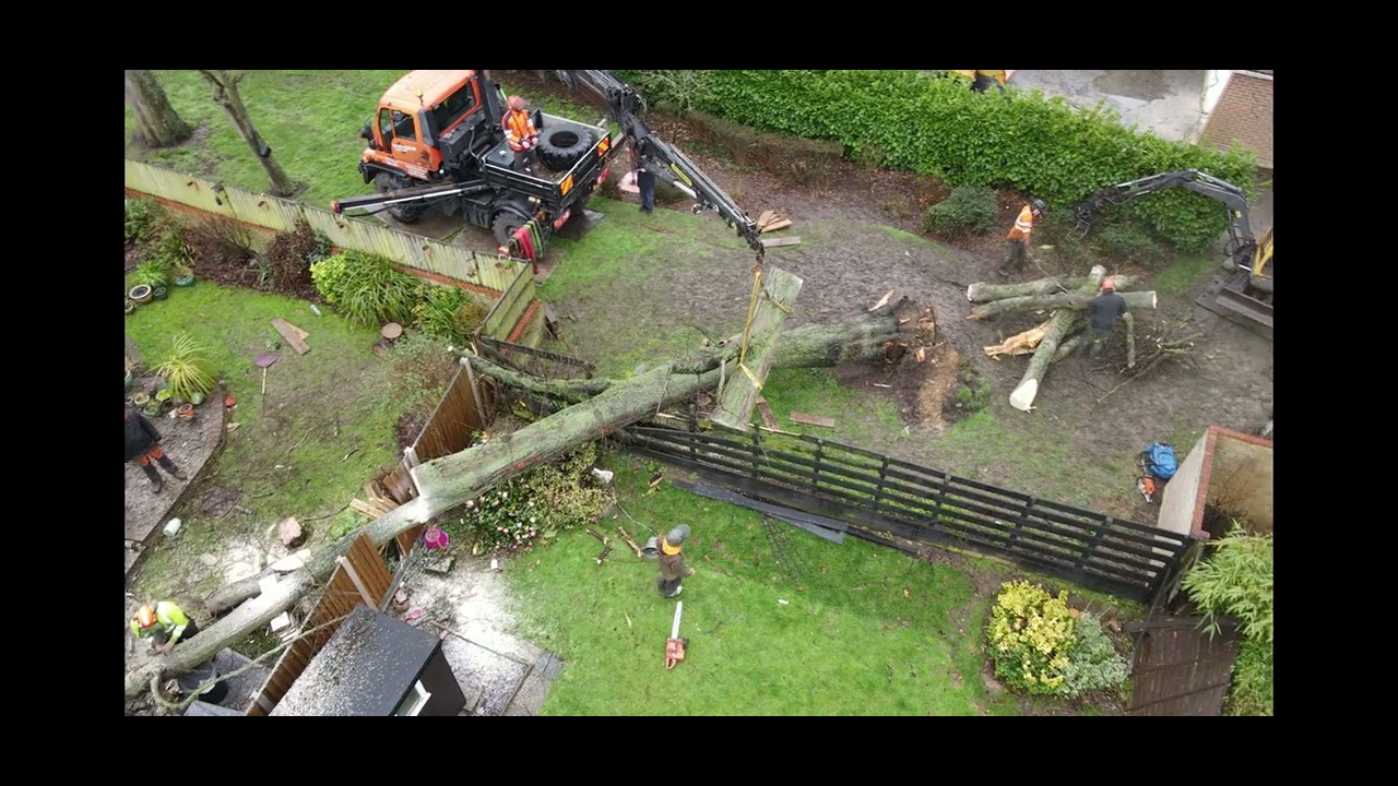 Tree fallen on house in Storm Eunice - unimog crane, tree surgeon