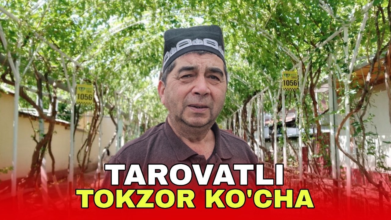 ТАРОВАТЛИ ТОКЗОР КЎЧА