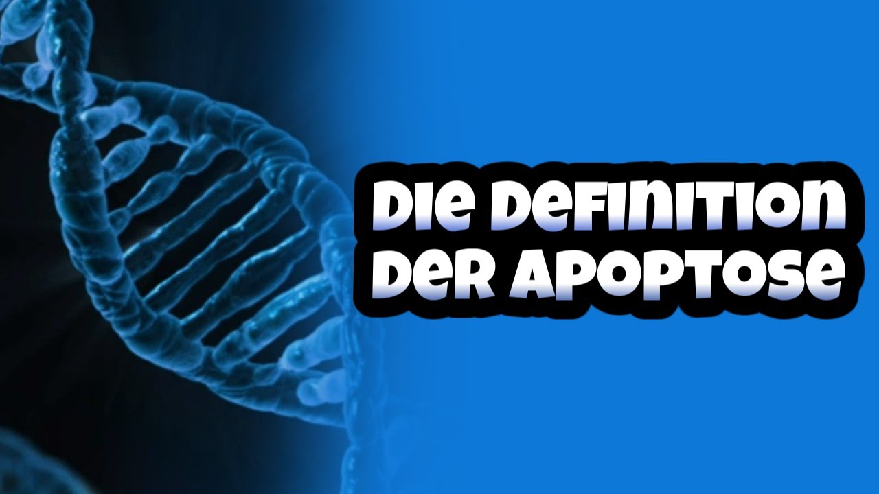 Apoptose Definition leicht - Apoptose vs. Nekrose | Beispiele | Ablauf | Biologie | Medizin | Tumor