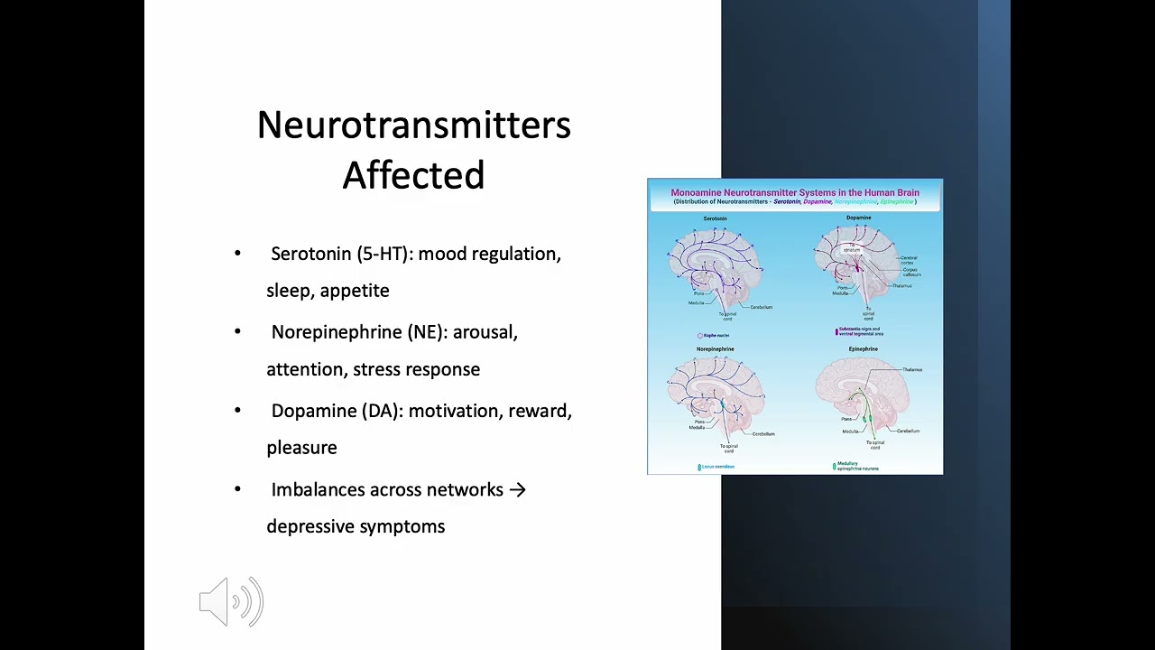 Monoamine Receptor Hypothesis Presentation