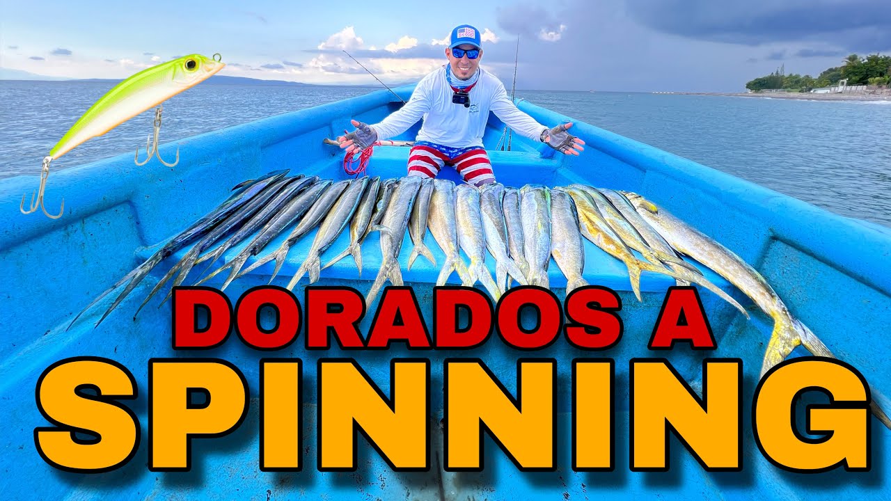 PESCA DE DORADOS A SPINNING CON SEÑUELO YO-ZURI MAG DARTER