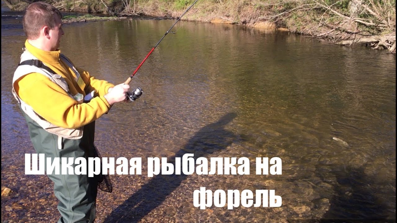 Форель. Рыбалка в США.