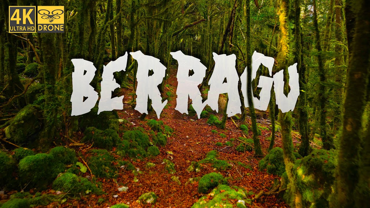 Berragu, bosque oscuro (Aurizberri) [Cinematic drone 4K]