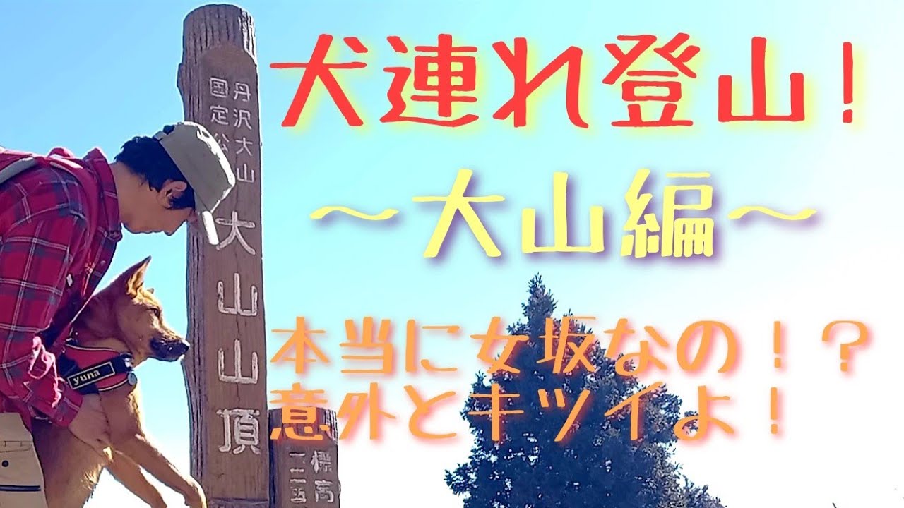 【犬連れ登山！】大山編　意外と女坂はキツかった！