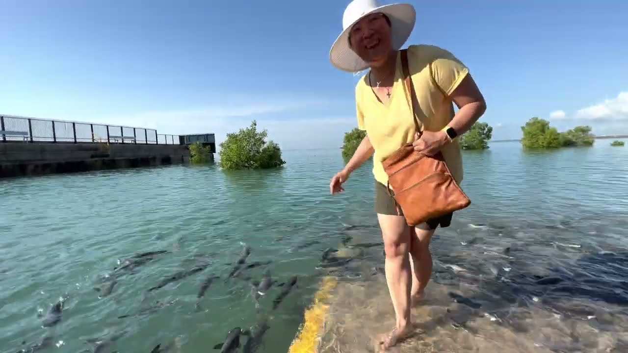 Aquascene Darwin  - Fish Feeding