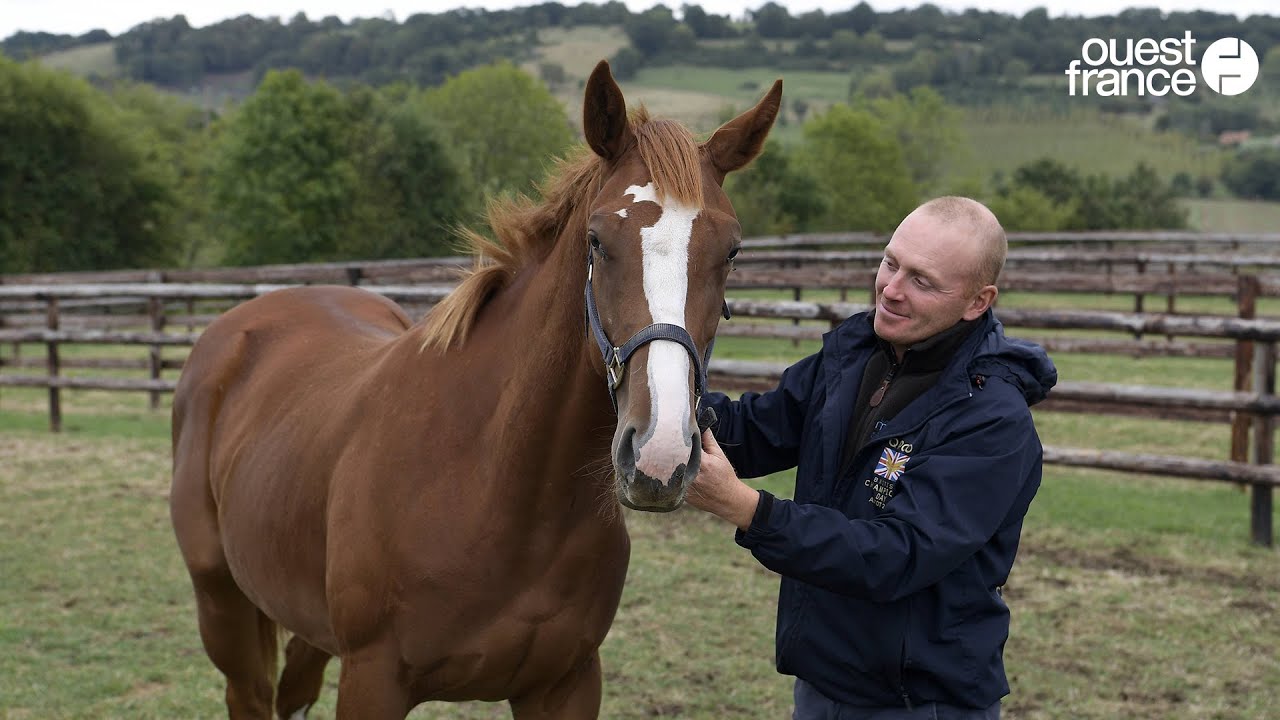 Le Haras de la Motteraye s’est hissé au top !