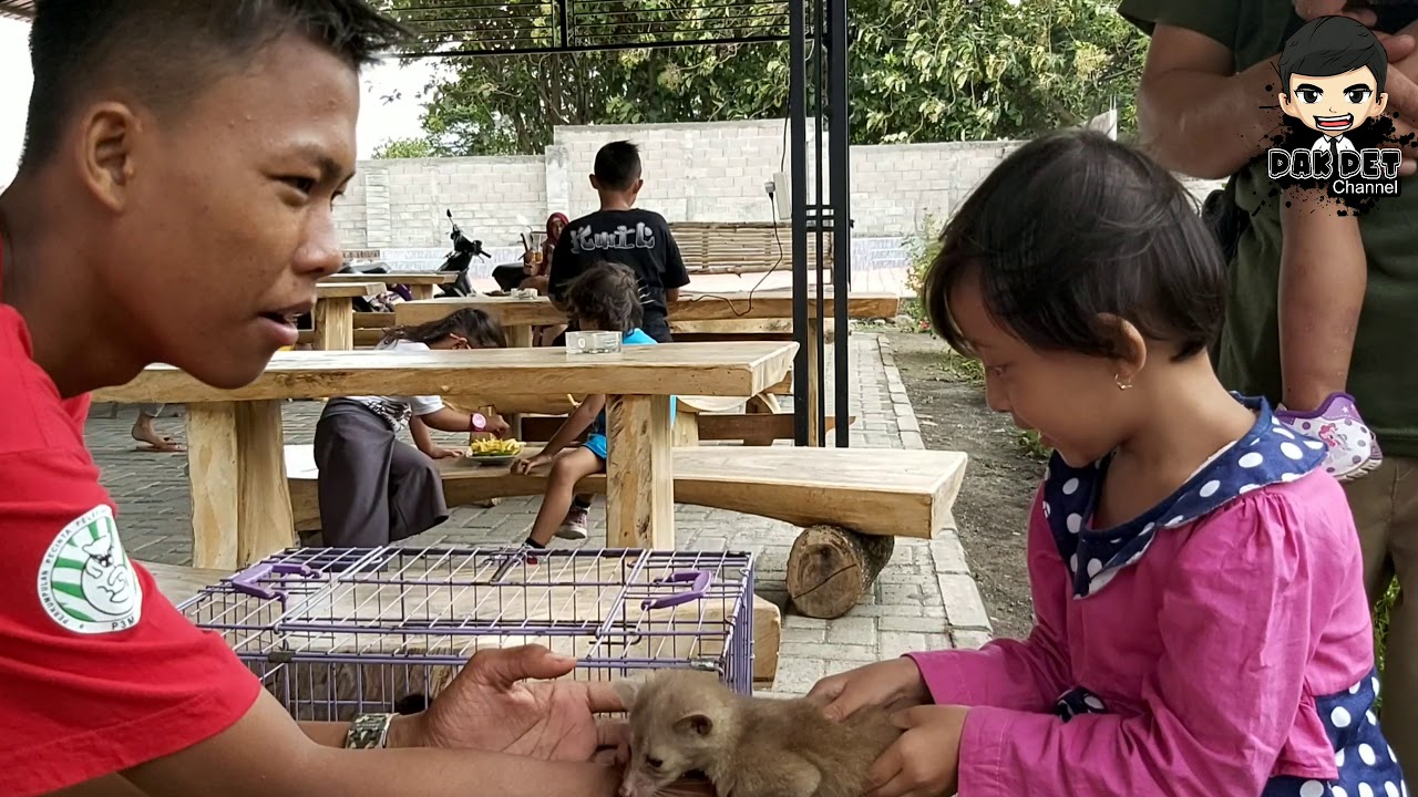 YUKA nongkrong bareng Musang Lovers Situbondo (MOVERS)