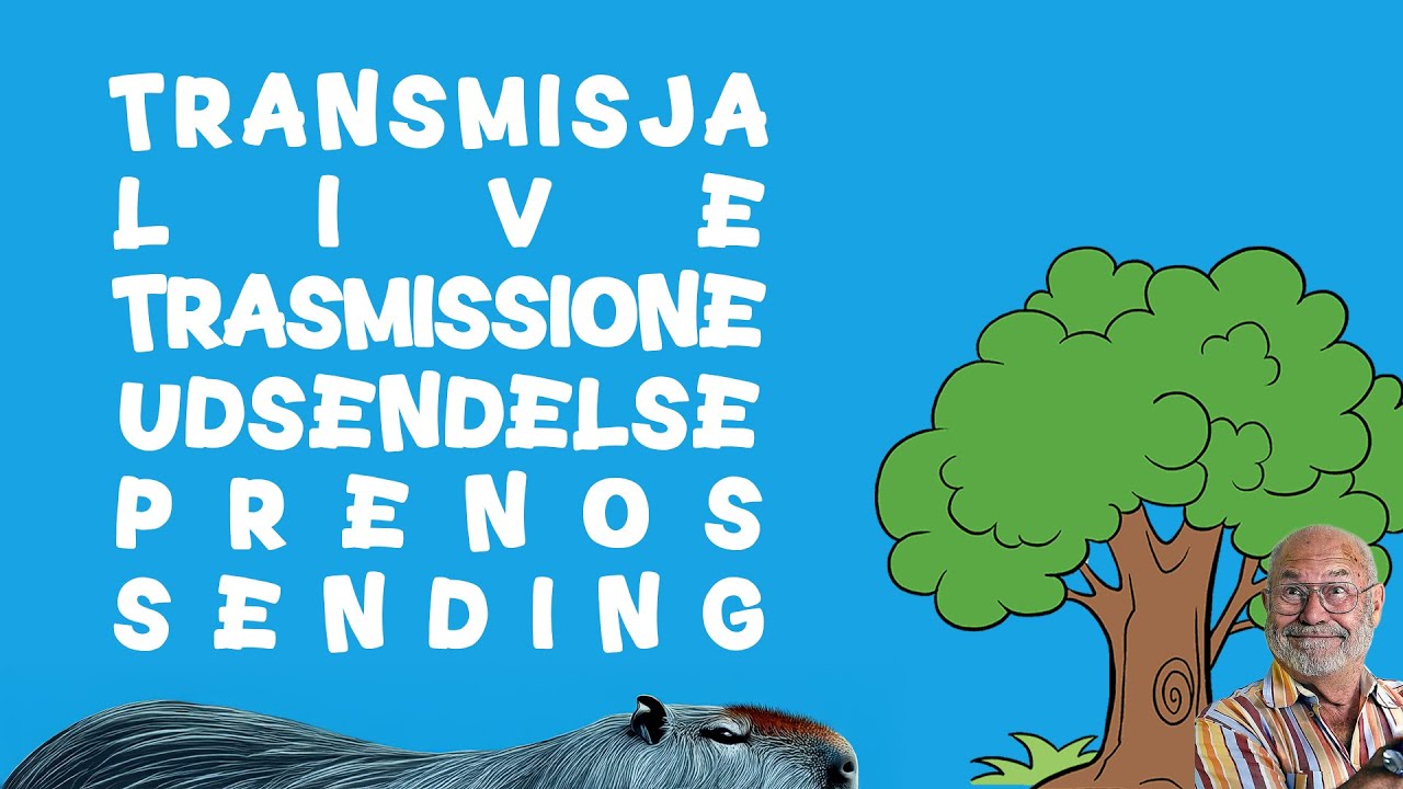 14 miesięcy temu dokładnie tego dnia stało się coś strasznego | YLYL | STREAM