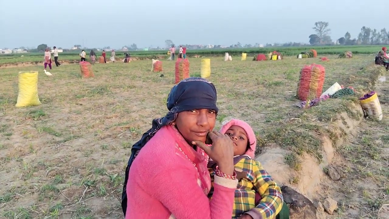 राधे राधे भाई बानो आज मैंने मटरू का वीडियो डाल रही हूं जरुर देखना भाई बानो
