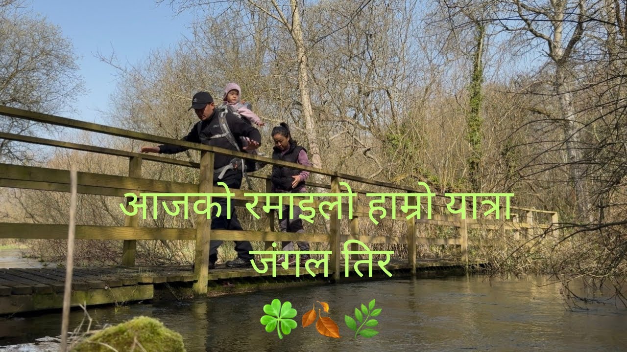आजको जंगल यात्रा मा हामीले के के देखिम त?🦌🐇🌿🍂🍀