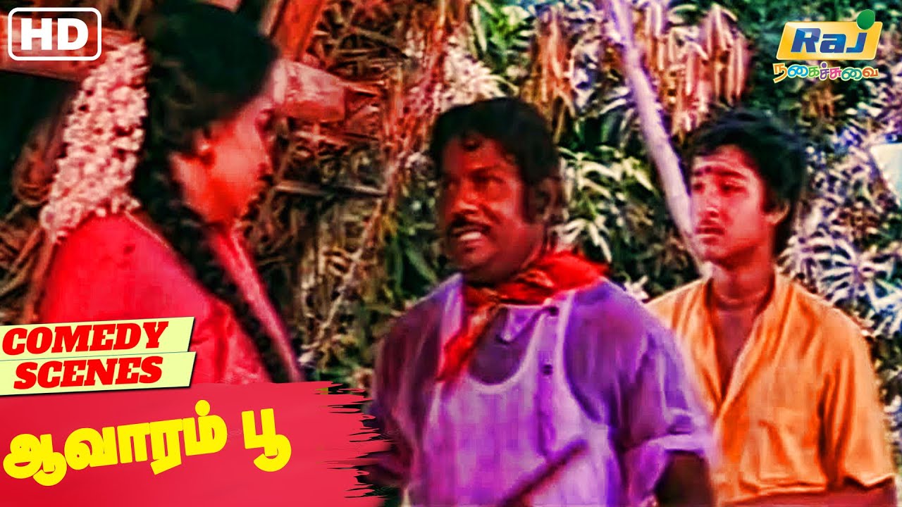 என்னடி வாசல்ல நின்னு நெளியுற | Aavarampoo Movie Comedy | Goundamani | Nassar | Raj Nagaichuvai