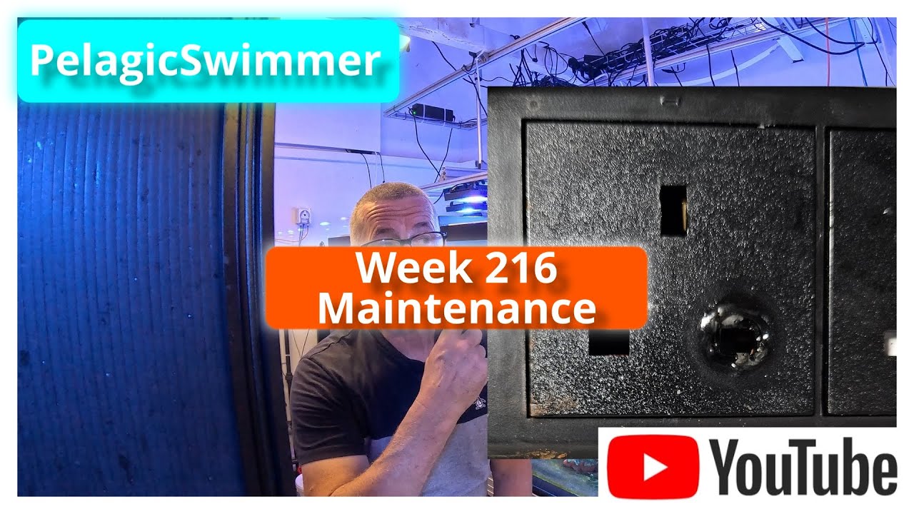 Week 216 Maintenance