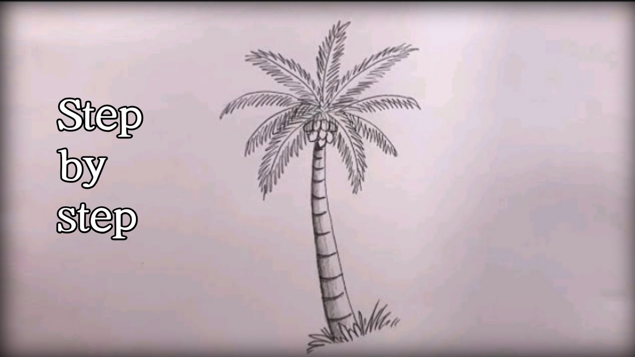 coconut tree drawing easy | how to draw coconut tree