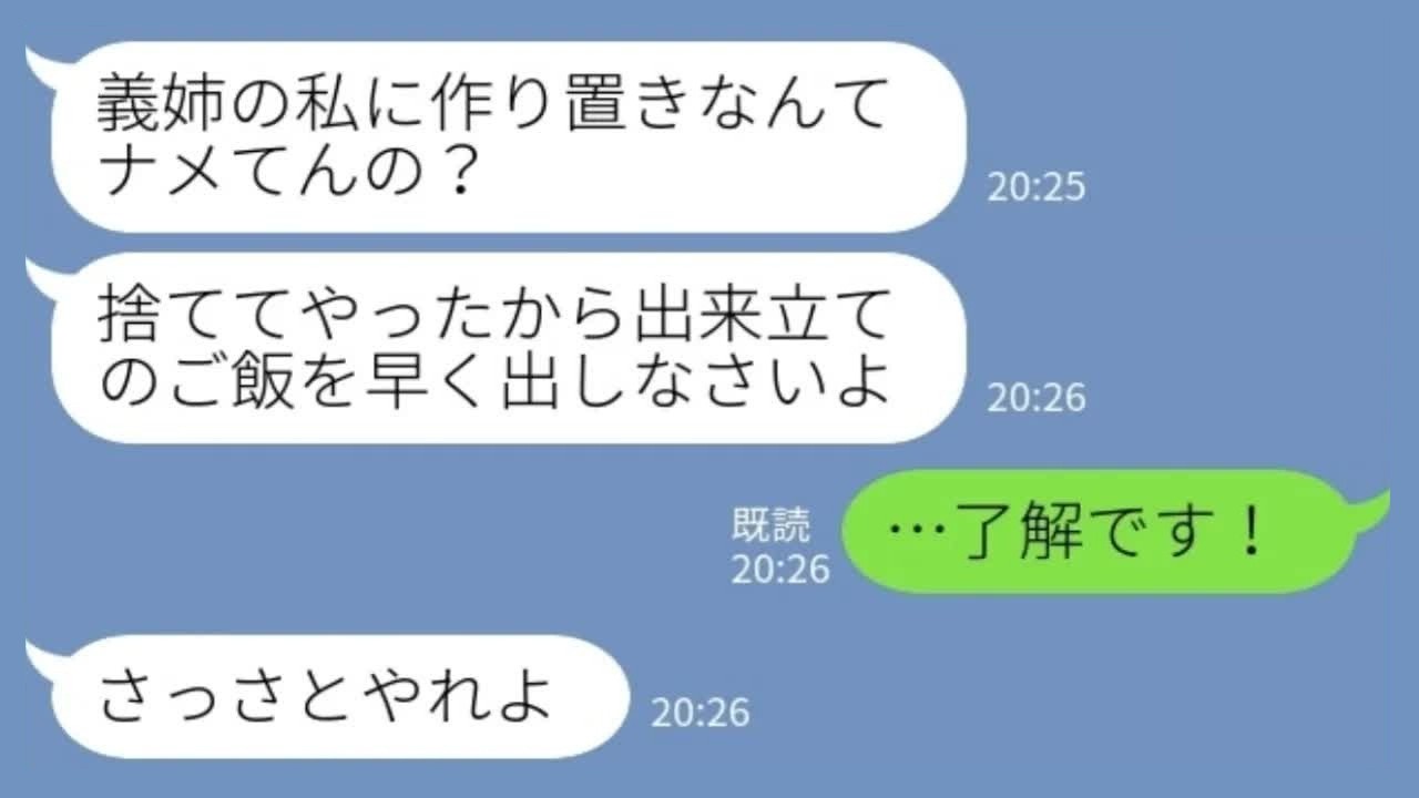 【LINE】義姉「温め直しは食べない！捨てたから作り直せw」私「了解ですw」→姑に許可をもらって本気出した結果www