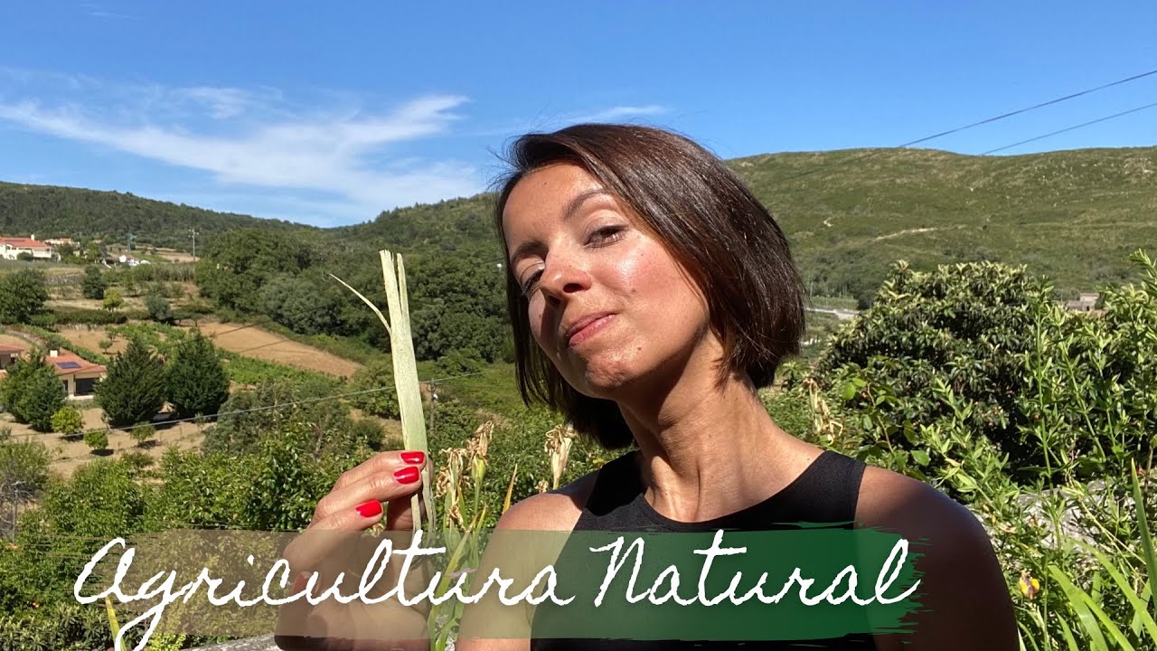 Agricultura Natural