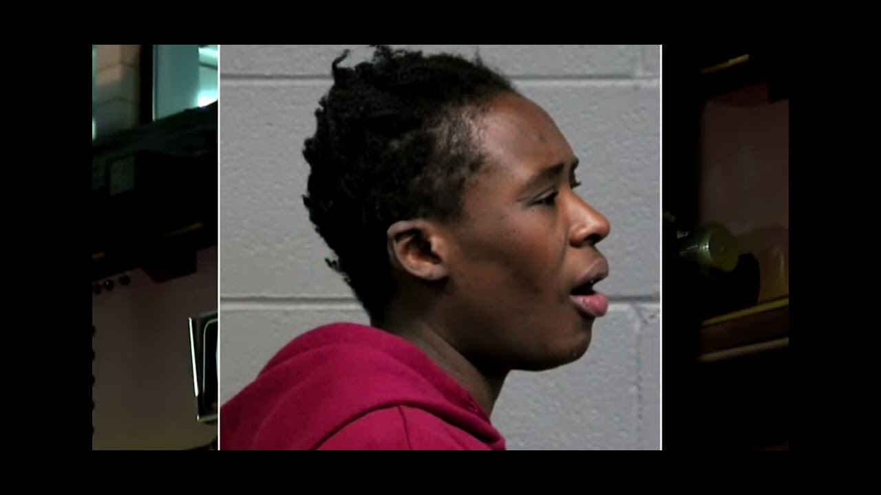 Tourist Beaten on CTA Platform 