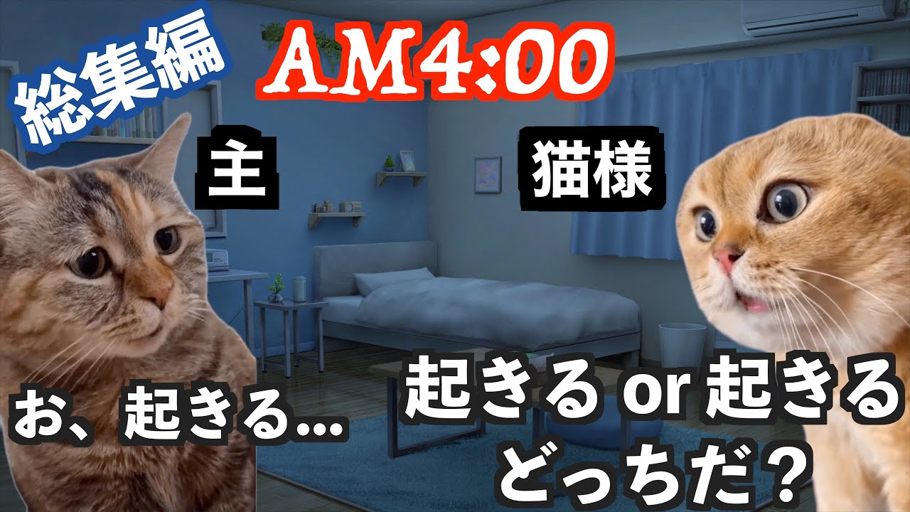 【猫ミーム】猫を飼うと休日も平日もこうなる_総集編！
