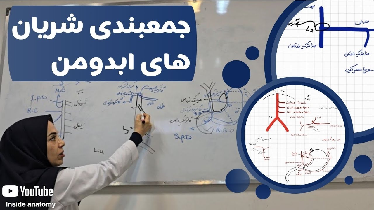 شریان‌های دستگاه گوارش | جمع‌بندی سریع آناتومی❗️⏱️Overview of Arteries