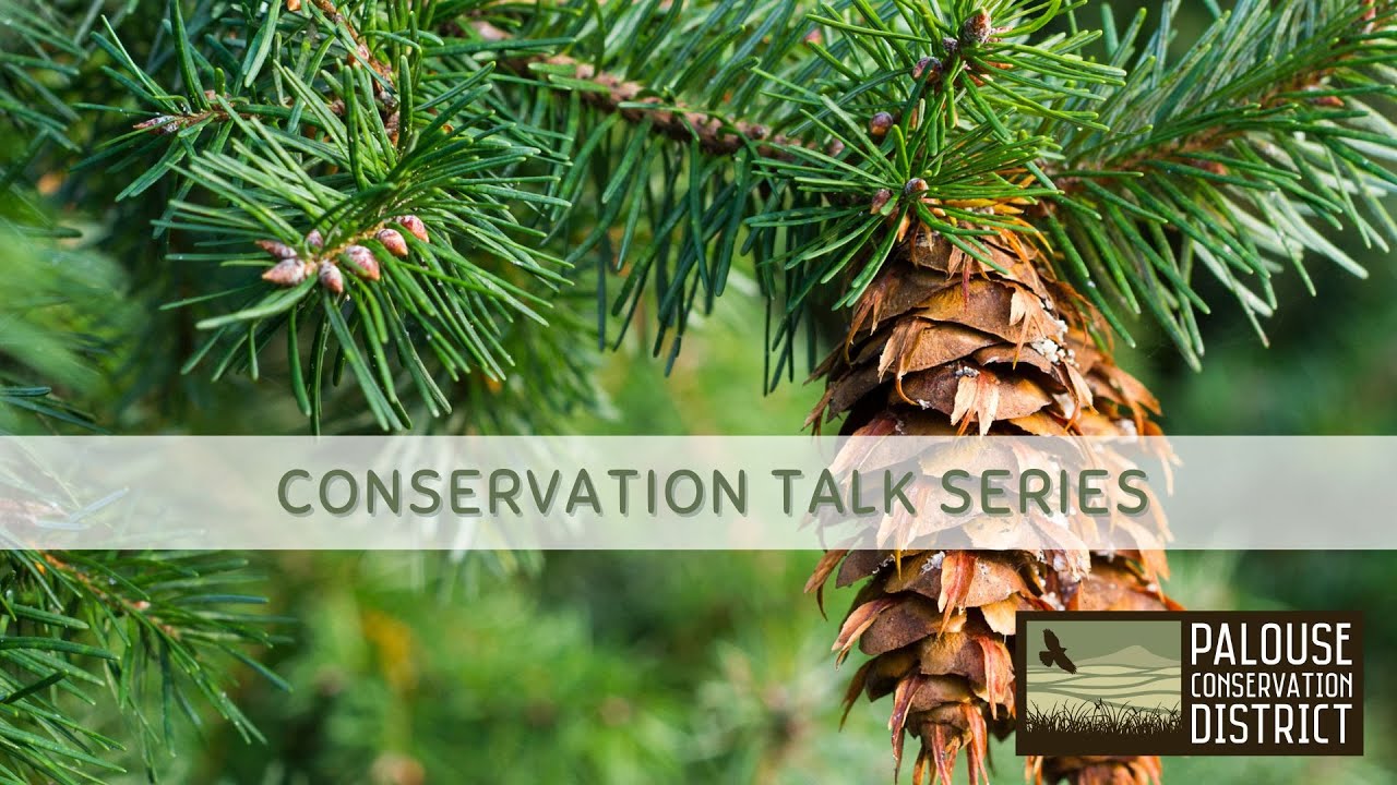 Conservation Talk Series | Landscaping with Native Plants
