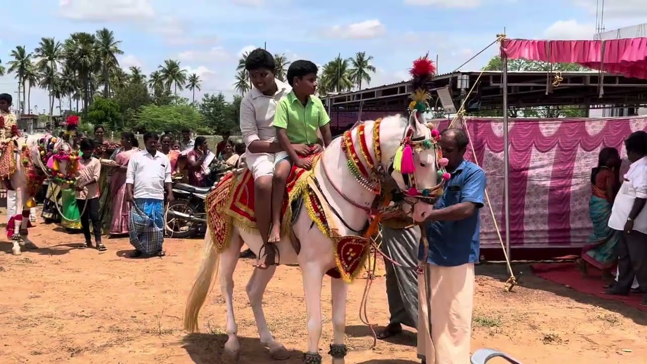 Horse dance June 2024