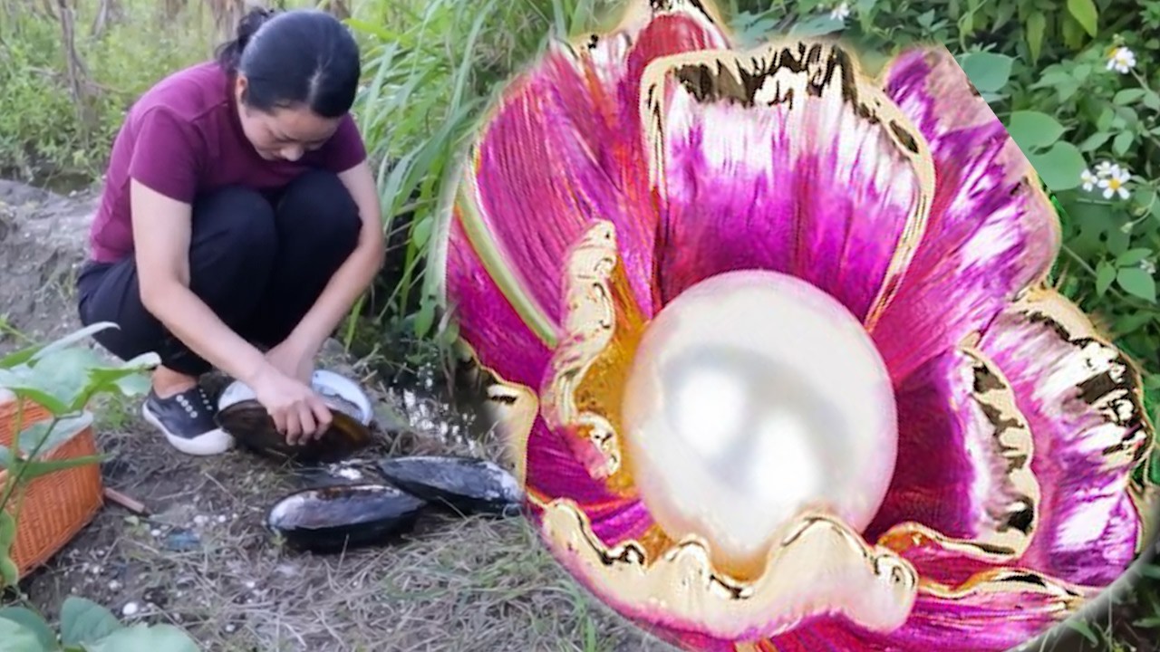 🔥🔥   Retrieve oversized pale red beads from ancient giant clams! #Pearl # Seafood # Pearl Hunter#