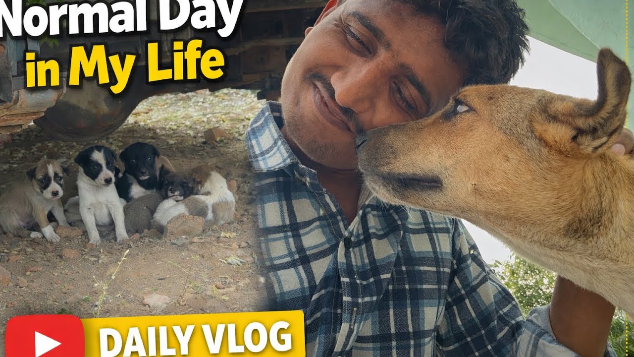 Ajj kuch special nahi tha 👻 #vlog #dailyvlog g
