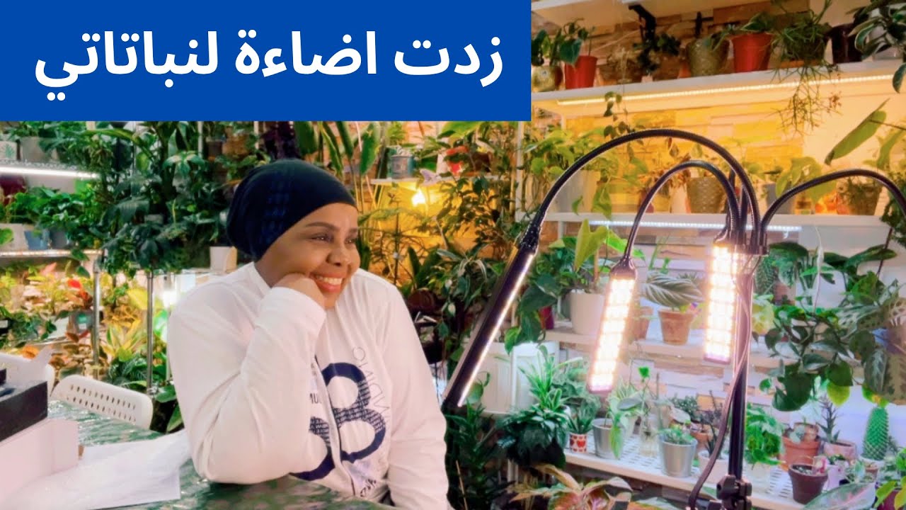 جولة في حديقتي وزيادة اضاءة صناعية | نباتات منزلية لا تحتاج للشمس