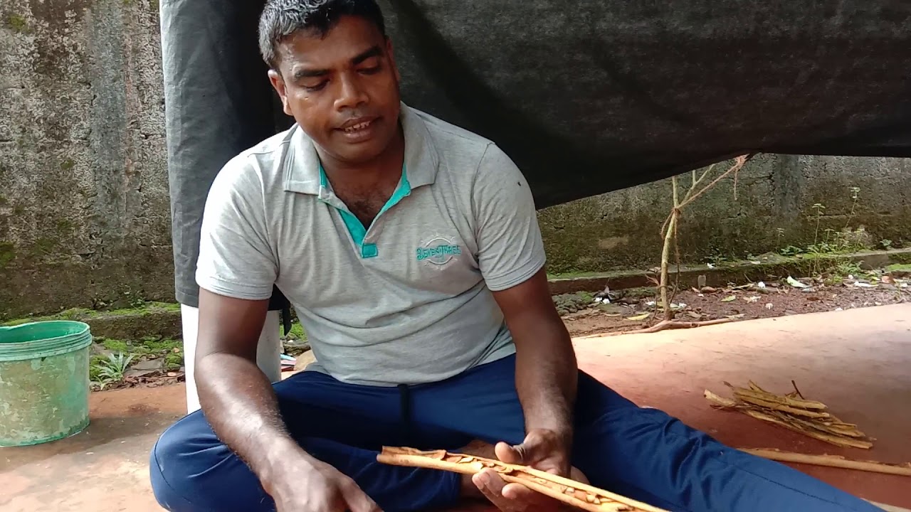 කුරුදු හන්දී කිරීම