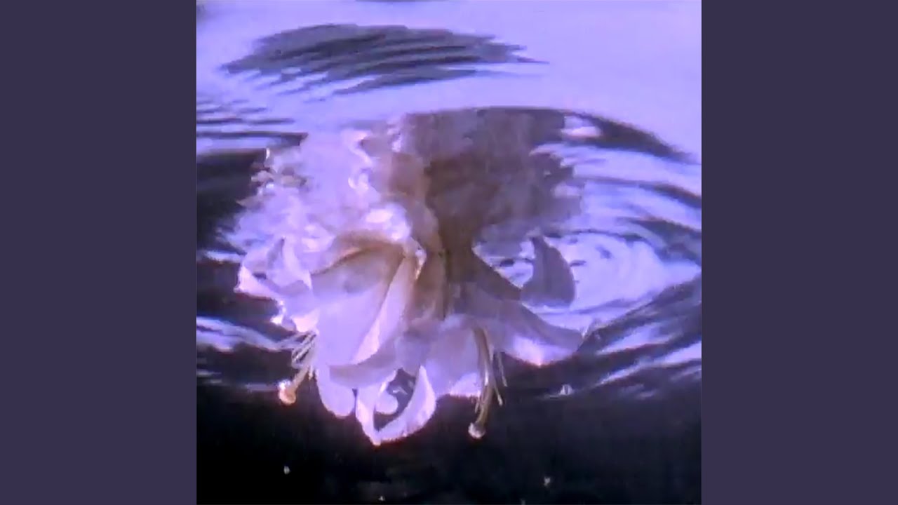 白花