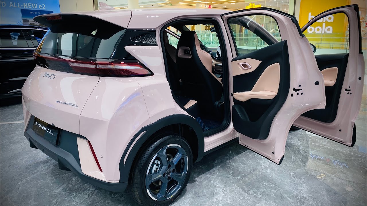 New Arrival! 2025 PINK BYD SEAGULL - BEST On Road Cute Electric Small Side Car 4K