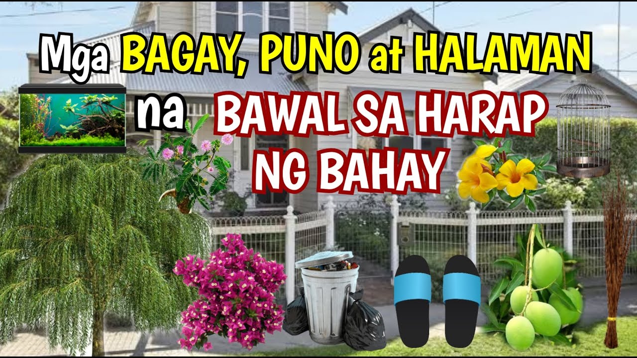 MGA BAGAY, PUNO AT HALAMAN NA BAWAL SA HARAP NG IYONG BAHAY